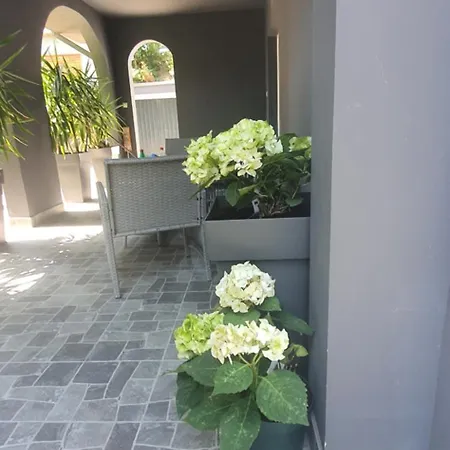 Silver Rose Veliko Gradiste