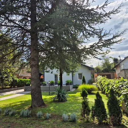 Guest house Silver Rose *